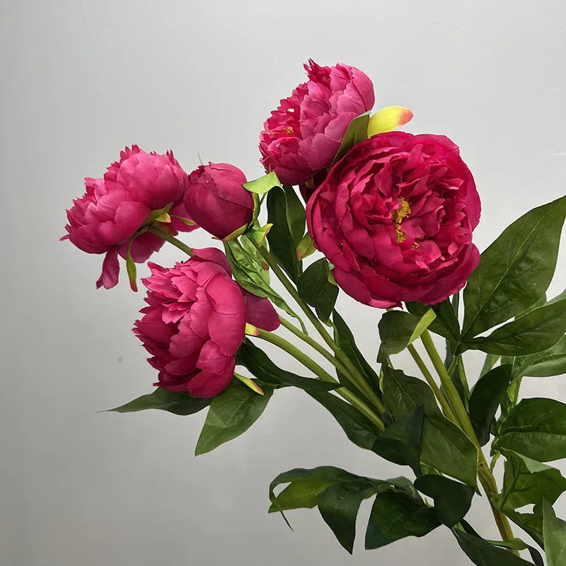 Pivoine Triple Tige