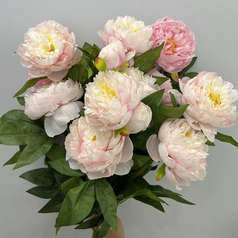 Pivoine Triple Tige