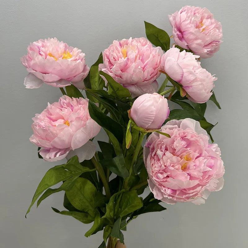Pivoine Triple Tige