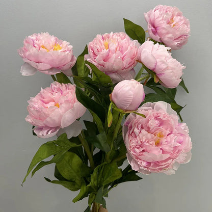 Pivoine Triple Tige