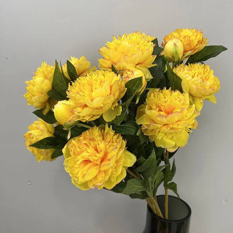 Pivoine Triple Tige
