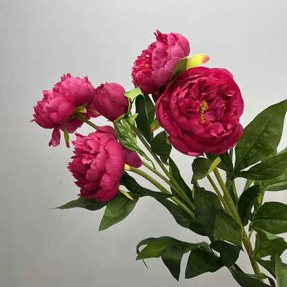 Pivoine Triple Tige